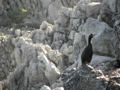 Κάντε κλικ για να δείτε την εικόνα σε πλήρες μέγεθος