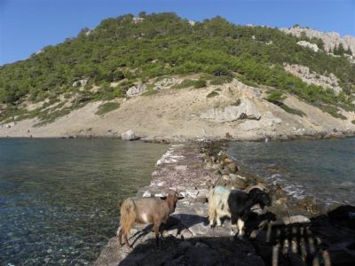 Κάντε κλικ για να δείτε την εικόνα σε πλήρες μέγεθος