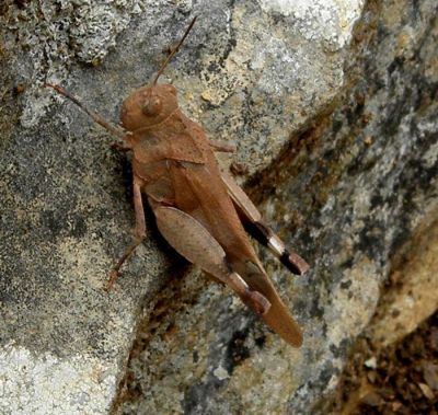 Κάντε κλικ για να δείτε την εικόνα σε πλήρες μέγεθος