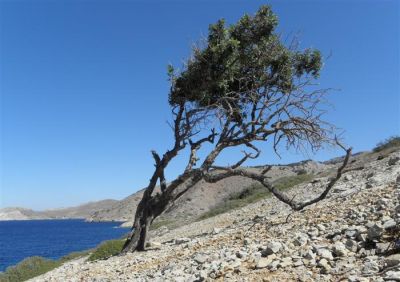 Κάντε κλικ για να δείτε την εικόνα σε πλήρες μέγεθος