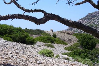 Κάντε κλικ για να δείτε την εικόνα σε πλήρες μέγεθος