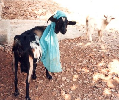 Κάντε κλικ για να δείτε την εικόνα σε πλήρες μέγεθος