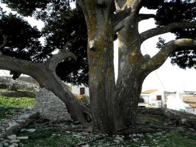 Κάντε κλικ για να δείτε την εικόνα σε πλήρες μέγεθος