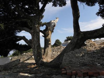 Κάντε κλικ για να δείτε την εικόνα σε πλήρες μέγεθος