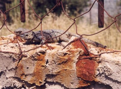 Κάντε κλικ για να δείτε την εικόνα σε πλήρες μέγεθος