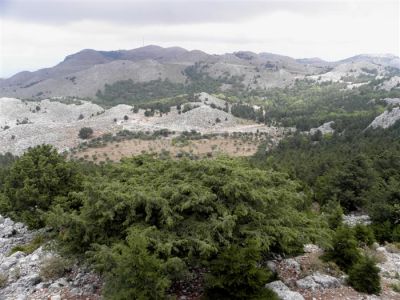 Tam boy resmi görebilmek için tıklayın