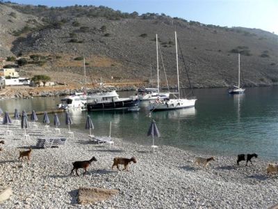 Κάντε κλικ για να δείτε την εικόνα σε πλήρες μέγεθος