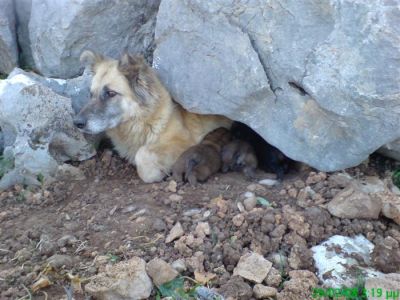 Κάντε κλικ για να δείτε την εικόνα σε πλήρες μέγεθος