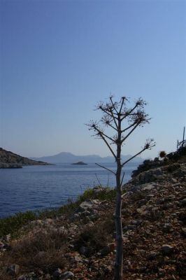 Κάντε κλικ για να δείτε την εικόνα σε πλήρες μέγεθος