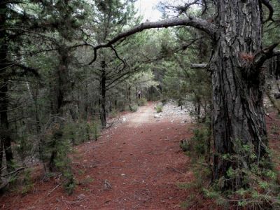 Κάντε κλικ για να δείτε την εικόνα σε πλήρες μέγεθος