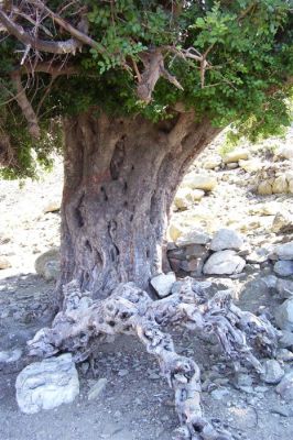 Κάντε κλικ για να δείτε την εικόνα σε πλήρες μέγεθος