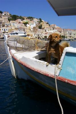 Κάντε κλικ για να δείτε την εικόνα σε πλήρες μέγεθος