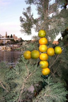 Κάντε κλικ για να δείτε την εικόνα σε πλήρες μέγεθος