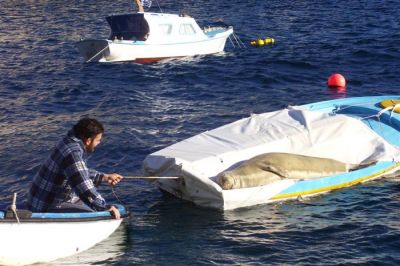 Κάντε κλικ για να δείτε την εικόνα σε πλήρες μέγεθος