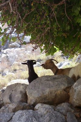 Κάντε κλικ για να δείτε την εικόνα σε πλήρες μέγεθος