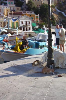 Κάντε κλικ για να δείτε την εικόνα σε πλήρες μέγεθος