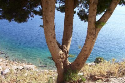 Κάντε κλικ για να δείτε την εικόνα σε πλήρες μέγεθος