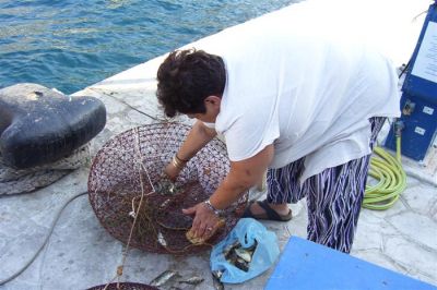 Κάντε κλικ για να δείτε την εικόνα σε πλήρες μέγεθος