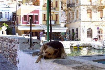 Κάντε κλικ για να δείτε την εικόνα σε πλήρες μέγεθος