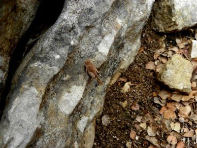 Κάντε κλικ για να δείτε την εικόνα σε πλήρες μέγεθος