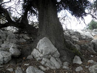 Κάντε κλικ για να δείτε την εικόνα σε πλήρες μέγεθος