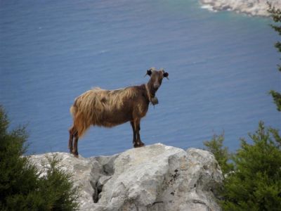 Κάντε κλικ για να δείτε την εικόνα σε πλήρες μέγεθος