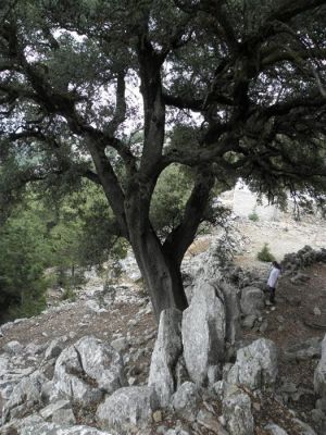 Κάντε κλικ για να δείτε την εικόνα σε πλήρες μέγεθος