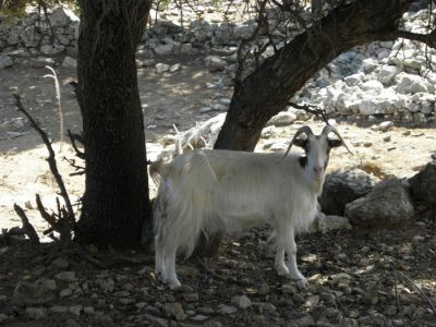 Κάντε κλικ για να δείτε την εικόνα σε πλήρες μέγεθος