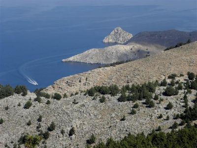 Tam boy resmi görebilmek için tıklayın