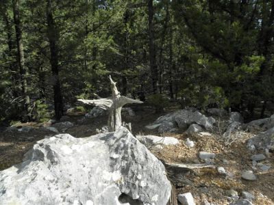 Κάντε κλικ για να δείτε την εικόνα σε πλήρες μέγεθος