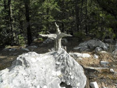 Κάντε κλικ για να δείτε την εικόνα σε πλήρες μέγεθος