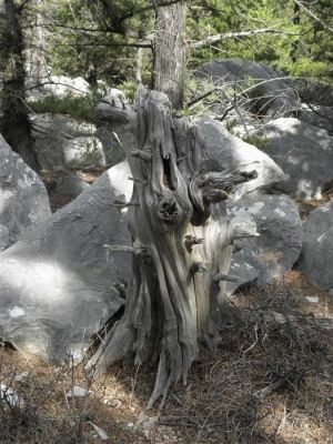 Κάντε κλικ για να δείτε την εικόνα σε πλήρες μέγεθος