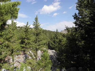 Κάντε κλικ για να δείτε την εικόνα σε πλήρες μέγεθος