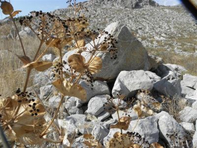 Κάντε κλικ για να δείτε την εικόνα σε πλήρες μέγεθος