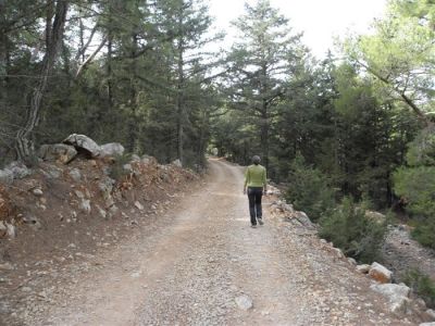 Tam boy resmi görebilmek için tıklayın