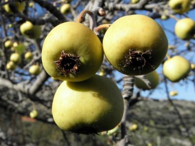 Κάντε κλικ για να δείτε την εικόνα σε πλήρες μέγεθος