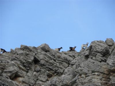 Κάντε κλικ για να δείτε την εικόνα σε πλήρες μέγεθος