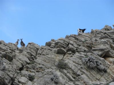 Κάντε κλικ για να δείτε την εικόνα σε πλήρες μέγεθος