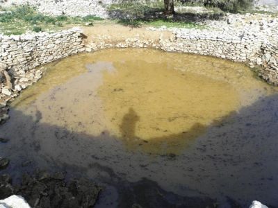 Tam boy resmi görebilmek için tıklayın