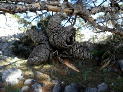 Κάντε κλικ για να δείτε την εικόνα σε πλήρες μέγεθος