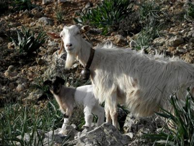 Κάντε κλικ για να δείτε την εικόνα σε πλήρες μέγεθος