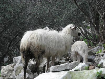 Κάντε κλικ για να δείτε την εικόνα σε πλήρες μέγεθος