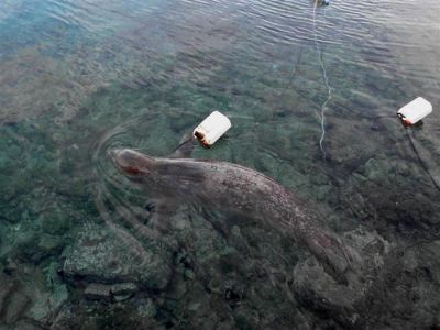 Κάντε κλικ για να δείτε την εικόνα σε πλήρες μέγεθος