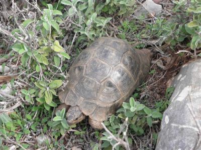 Κάντε κλικ για να δείτε την εικόνα σε πλήρες μέγεθος