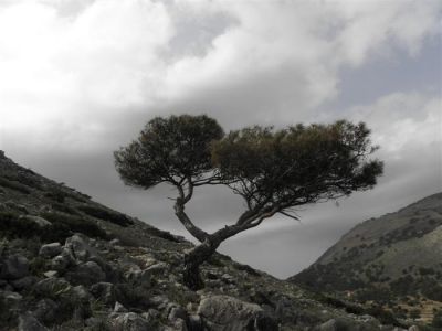 Κάντε κλικ για να δείτε την εικόνα σε πλήρες μέγεθος