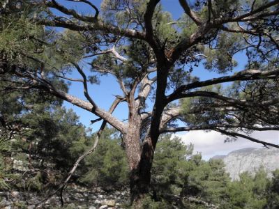 Κάντε κλικ για να δείτε την εικόνα σε πλήρες μέγεθος