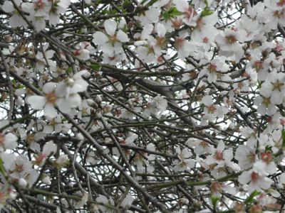 Κάντε κλικ για να δείτε την εικόνα σε πλήρες μέγεθος