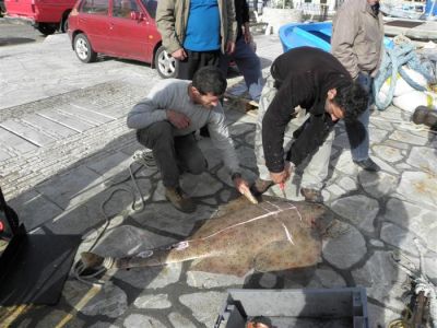 Κάντε κλικ για να δείτε την εικόνα σε πλήρες μέγεθος