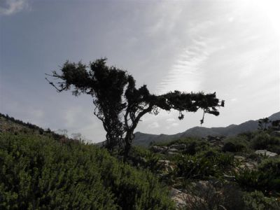 Κάντε κλικ για να δείτε την εικόνα σε πλήρες μέγεθος