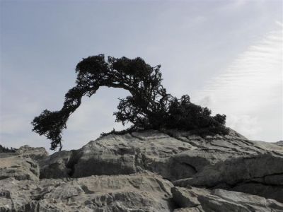 Κάντε κλικ για να δείτε την εικόνα σε πλήρες μέγεθος